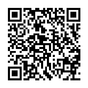 白龙公子自然也见到了守卫傀儡旁边的天机阁阁主的分影二维码生成