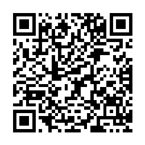 百年份的金行草……三百年份……五百年份……千年金行草……二维码生成