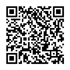 的事情就是让夏正名将地里掉落的麦穗捡回来……梓箐眼尖二维码生成