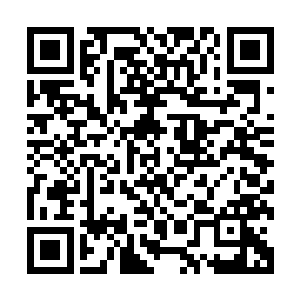 的支持热潮从电台点播率的数据之中直接而生动地体现了出来二维码生成