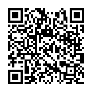的球迷们在看台上高声唱起了为科林蒂安加油的歌二维码生成