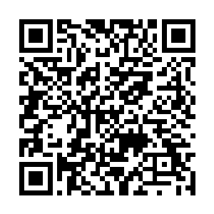 的第五针进入嘉宝的脑域时的那种清晰明了的感觉二维码生成