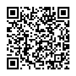 皇上庞光杰侍太郎立即拿着那几根毛跑到了江帆身边满脸喜色道二维码生成