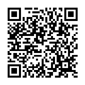 皮栾已经把自己所有该交代的东西全部的都交代了出来二维码生成