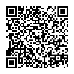 皮皮和囡囡就是俩小自来熟很快的这帮小孩子就开心的混在了一起二维码生成