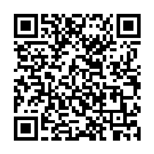 皮野绫的辅助实力即便在国内也是能排到前三的存在二维码生成
