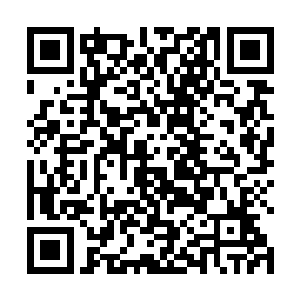 盗天的名头在整个寰宇天界那可谓是无人不知无人不晓二维码生成