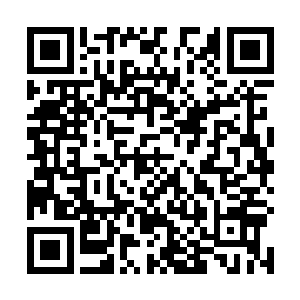目光却是下意识的集中到了那只放大的三足鹰的眼睛上二维码生成