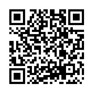 目光忽然对准了墙角边的那只黑色布偶熊二维码生成