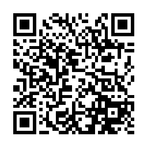 目前各势力各种族流传下来的古老传说都极为精简二维码生成