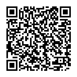 目前飞行学校主要是基地现有的三名飞行员和几名归国的留学生在担任飞行教官二维码生成