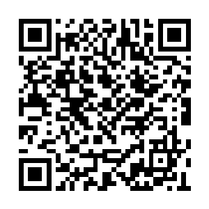 目的就是为了将他们给引入自卫队然后自投罗网二维码生成