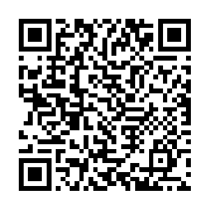 目的是为了让他代表我们楚家去参加本次的炼丹大比二维码生成