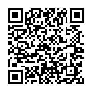 目送穆根离开院子去和商业街上的其他老板协商二维码生成