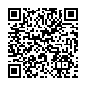 盯着屹立在沙漠中狼狈不堪身上还染着鲜血在咀嚼仙草的苗毅二维码生成