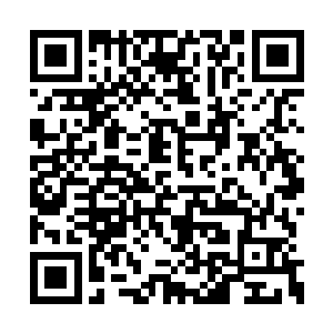 盯着苗毅眉心裂开的那道竖纹中的彩色剔透眼球二维码生成