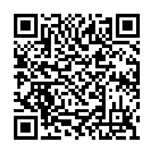 直到……我的力量彻底干扰掉主系统对你的锁定二维码生成