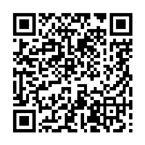 直到他倒下去的那一刻脸上依然是充满了不可思议二维码生成