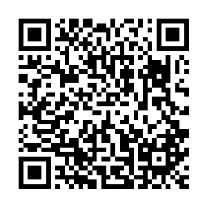 直到他眼睁睁的看着那因为血管和经脉堵塞而不能起身的白鸽二维码生成