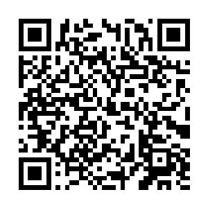 直到关灿灿确定着司见御真的已经完完全全的睡着了二维码生成