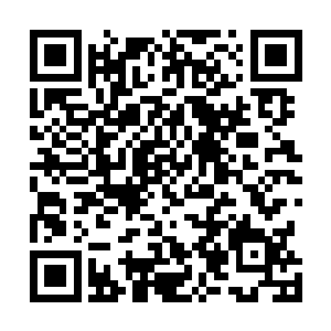 直到后来还酿成了无法挽回的错误其中就包括对自己下药二维码生成