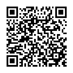 直到感觉到大光明山上空的天地元气波动慢慢的波动起来二维码生成