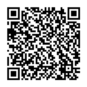 直到我离开隐龙你也没能察觉到我的暗示注定了我们之间缘分已尽……二维码生成