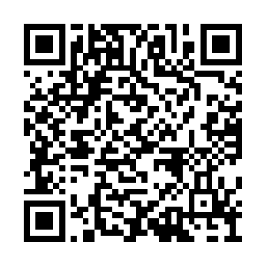 直到最后一个修仙者或者说修魔者被净化和消灭二维码生成