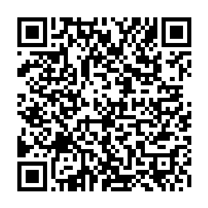 直到有在国外留学的球迷在微博上发出了他们在当地买的报纸的照片和网站截图二维码生成