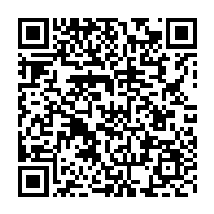 直到有小厮过来回禀说上次找过朱平安的张四维张公子和王世贞王公子二维码生成