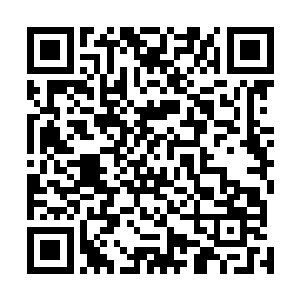 直到杨洛伸出食指和中指压在王彤伤口上他们才回过神来二维码生成