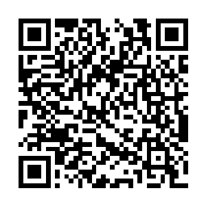 直到能看到那片让妮娜印象深刻的玫瑰花海的时候二维码生成