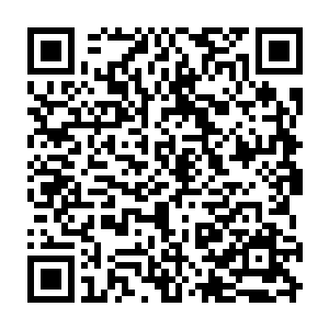 直到遇到了纯洁善良又离开多年的小青梅也就是这篇小说的女主角――程雅柔二维码生成