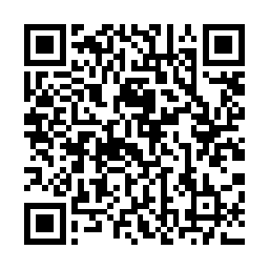 直到黄昏时刻才被前来寻找的叶蕊和叶逸之联手拖回了住所二维码生成