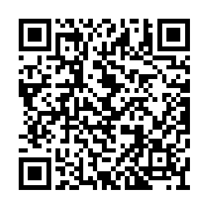 直奔那座由春秋老将杨慎杏坐镇的副节度使府邸二维码生成