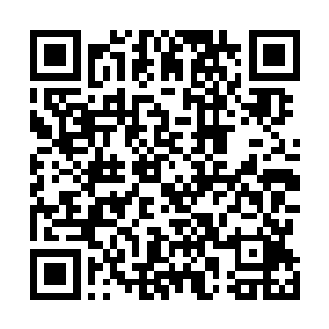 直把崔府的家丁家将门给熏得不是头昏脑涨便是连连呕吐二维码生成