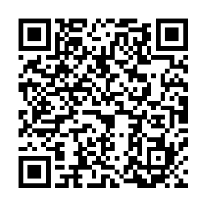 直接以蛮横的姿态狠狠的轰击在围绕在宫殿周围的结界上面二维码生成