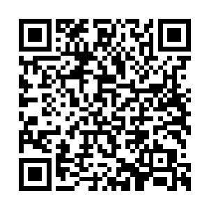 直接将十五个四星圣级和七八十个低阶圣级强者二维码生成