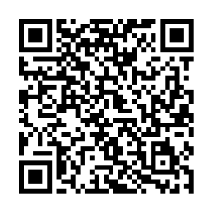直接将紫玉腰带之中的那些装备全都一股脑拿了出来二维码生成