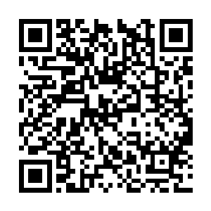 直接打中了正闪避洛浪攻击的那架机甲的膝盖之处二维码生成