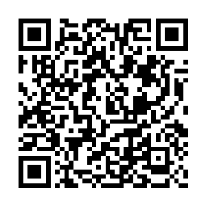 直接窜入了那银色地毯一般的草地中消失不见了二维码生成