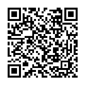 直接端着改良后的冲锋枪对着地上的腐尸一顿扫射二维码生成