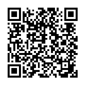 直接闹市区中就派出他们这支机甲战队来对江少游进行阻截二维码生成