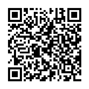 相传只有在各智慧种族混战时期才有人能使用魂力具现二维码生成