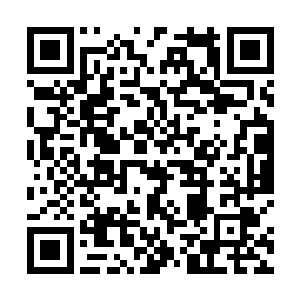 相信人类军队的实力会在很短的时间里得到很大的提升二维码生成