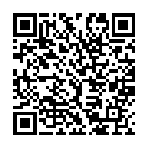 相信那唐市长绝对不敢置我们全校师生的意见于不顾的二维码生成