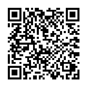 省交通厅的陈厅长亲自给清江市委罗书记打了招呼二维码生成