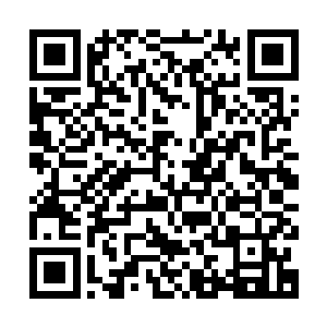 省政府办公厅信息中心处长姬程曾经在九五年与侯卫东一面之缘二维码生成