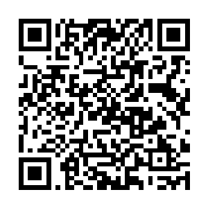 省纪委怎么可能要处理一个我这样克己奉公的干部呢二维码生成