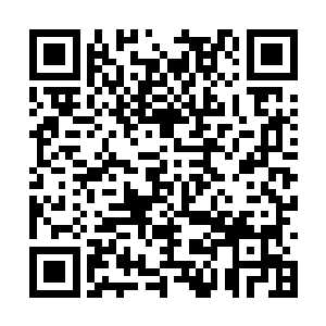 看你把半辈子的年华浪费在一件不可能成功的事上二维码生成